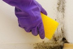 Effektiva sätt och tekniker för att enkelt ta bort mögel från väggarna i din lägenhet
