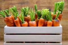 Steg för steg instruktioner och tips om hur du förvarar morötter hemma